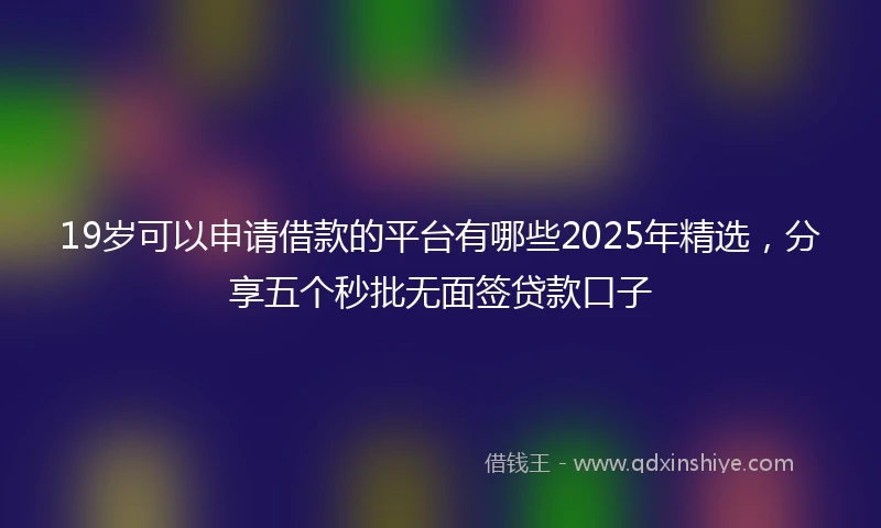 19岁可以申请借款的平台有哪些2025年精选，分享五个秒批无面签贷款口子