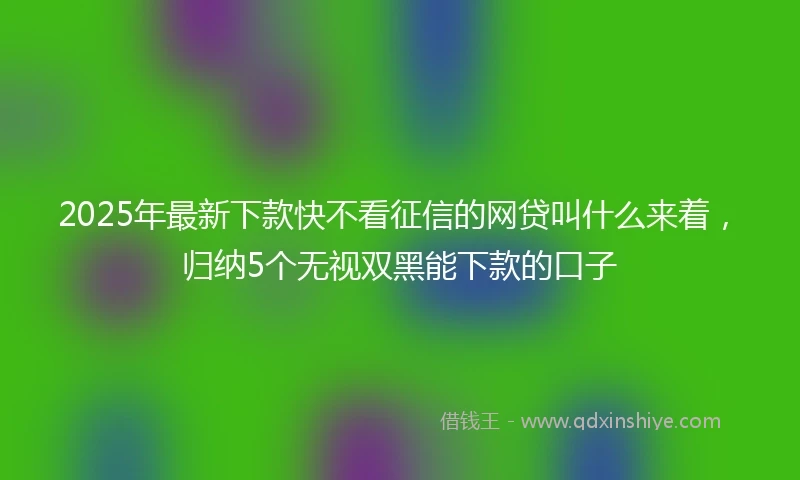 2025年最新下款快不看征信的网贷叫什么来着，归纳5个无视双黑能下款的口子