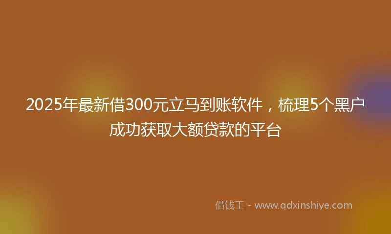 2025年最新借300元立马到账软件，梳理5个黑户成功获取大额贷款的平台