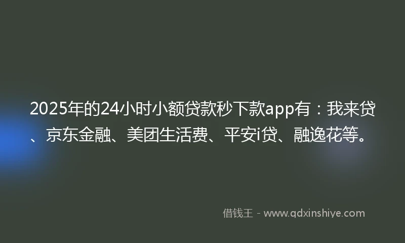 2025年的24小时小额贷款秒下款app有：我来贷、京东金融、美团生活费、平安i贷、融逸花等。