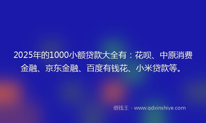2025年的1000小额贷款大全有：花呗、中原消费金融、京东金融、百度有钱花、小米贷款等。