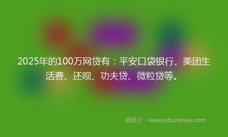 2025年的100万网贷有：平安口袋银行、美团生活费、还呗、功夫贷、微粒贷等。
