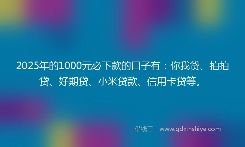 2025年的1000元必下款的口子有：你我贷、拍拍贷、好期贷、小米贷款、信用卡贷等。