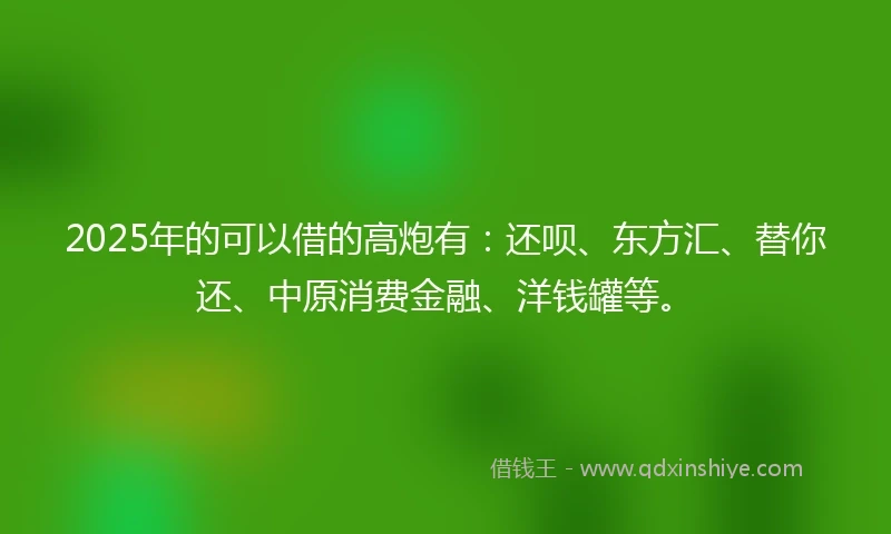 2025年的可以借的高炮有：还呗、东方汇、替你还、中原消费金融、洋钱罐等。