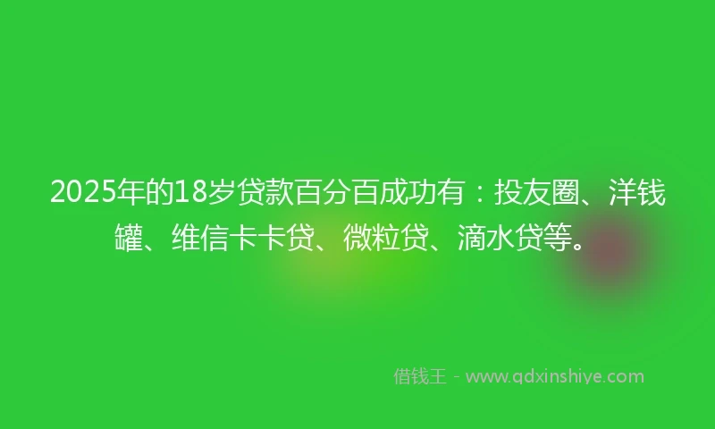 2025年的18岁贷款百分百成功有：投友圈、洋钱罐、维信卡卡贷、微粒贷、滴水贷等。