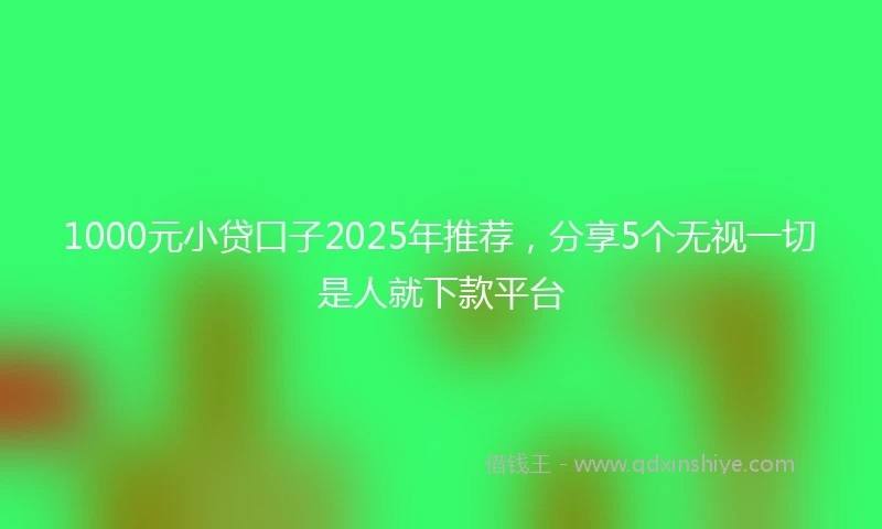 1000元小贷口子2025年推荐，分享5个无视一切是人就下款平台