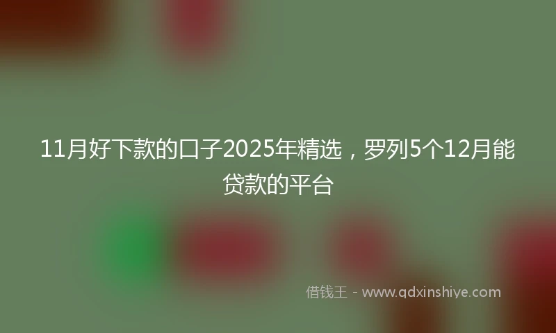 11月好下款的口子2025年精选，罗列5个12月能贷款的平台