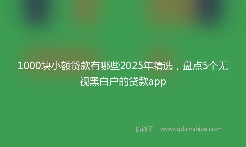 1000块小额贷款有哪些2025年精选，盘点5个无视黑白户的贷款app