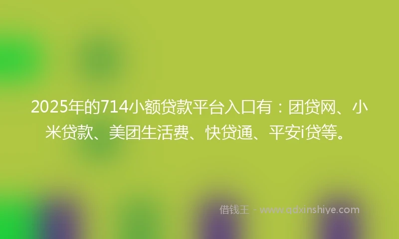 2025年的714小额贷款平台入口有：团贷网、小米贷款、美团生活费、快贷通、平安i贷等。