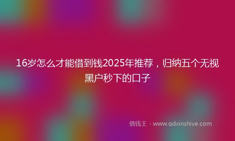 16岁怎么才能借到钱2025年推荐，归纳五个无视黑户秒下的口子