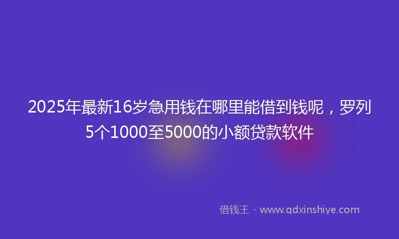 2025年最新16岁急用钱在哪里能借到钱呢，罗列5个1000至5000的小额贷款软件