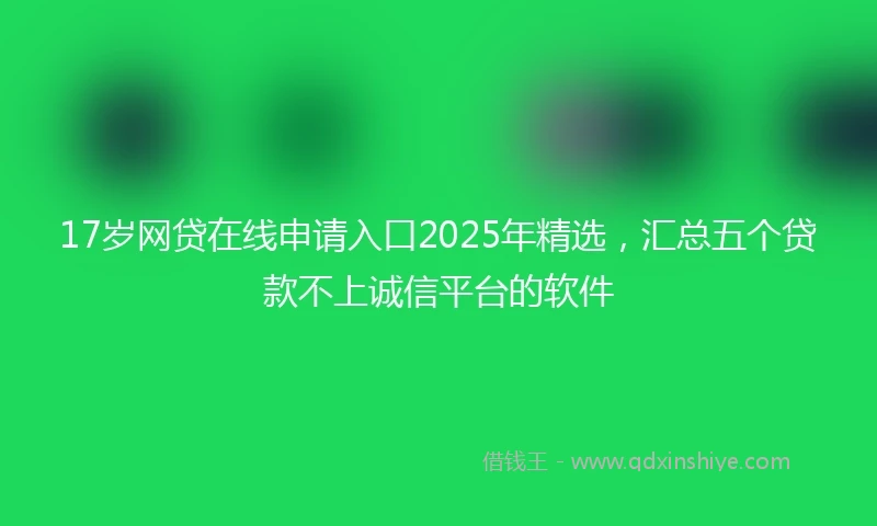 17岁网贷在线申请入口2025年精选，汇总五个贷款不上诚信平台的软件