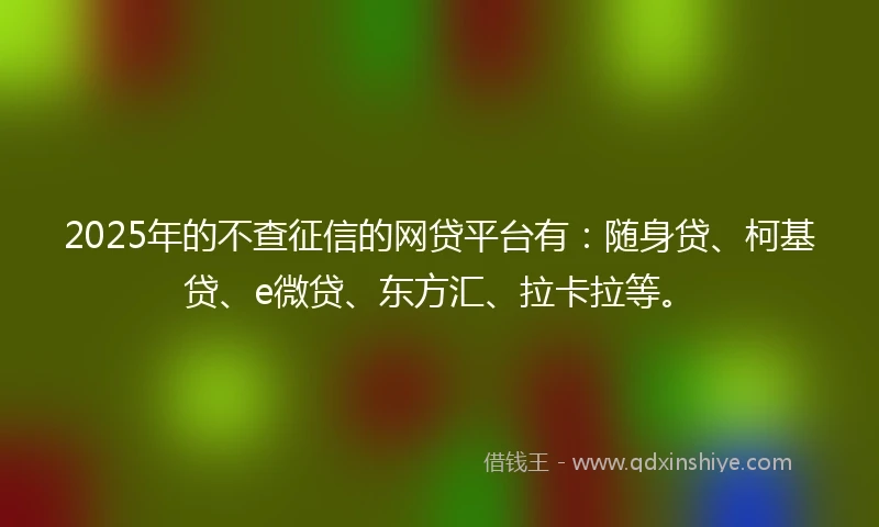 2025年的不查征信的网贷平台有：随身贷、柯基贷、e微贷、东方汇、拉卡拉等。