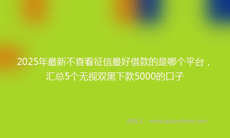 2025年最新不查看征信最好借款的是哪个平台，汇总5个无视双黑下款5000的口子