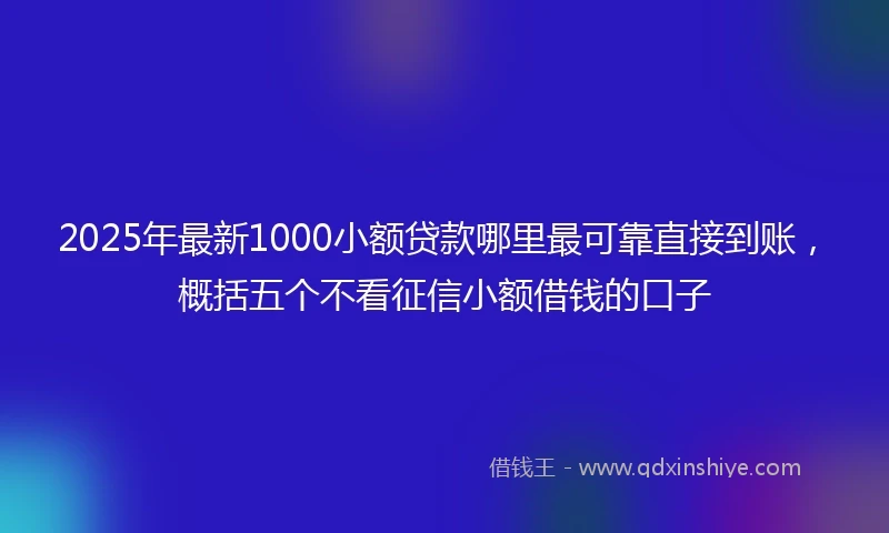 2025年最新1000小额贷款哪里最可靠直接到账，概括五个不看征信小额借钱的口子