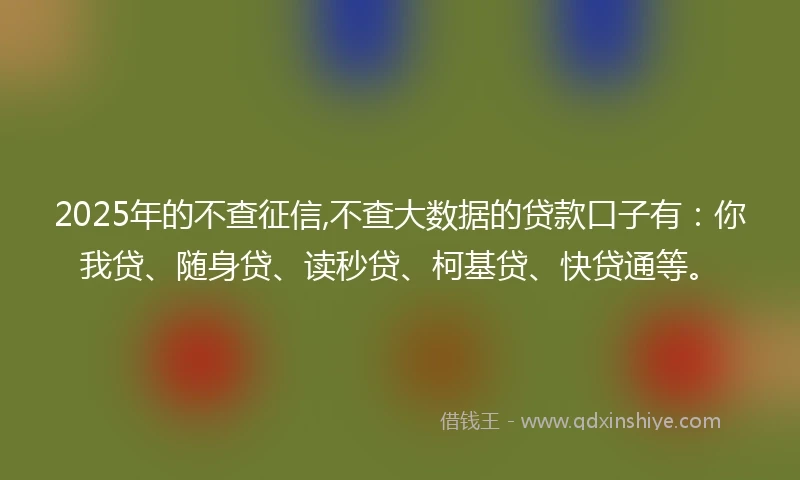 2025年的不查征信,不查大数据的贷款口子有：你我贷、随身贷、读秒贷、柯基贷、快贷通等。