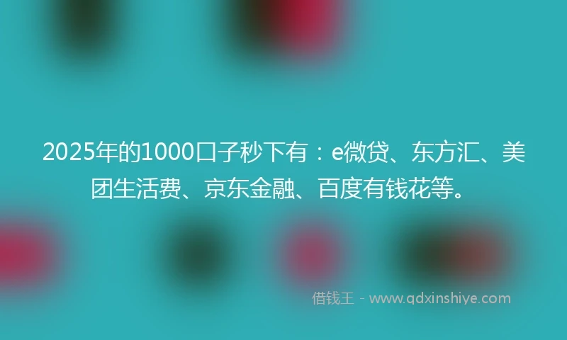 2025年的1000口子秒下有：e微贷、东方汇、美团生活费、京东金融、百度有钱花等。
