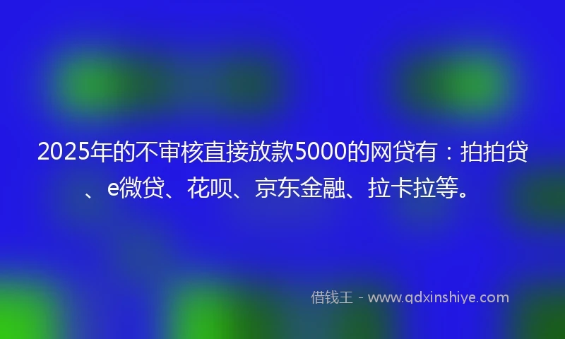 2025年的不审核直接放款5000的网贷有：拍拍贷、e微贷、花呗、京东金融、拉卡拉等。