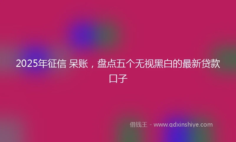 2025年征信 呆账，盘点五个无视黑白的最新贷款口子