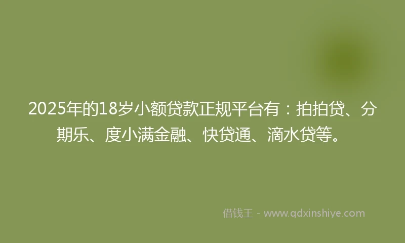 2025年的18岁小额贷款正规平台有：拍拍贷、分期乐、度小满金融、快贷通、滴水贷等。