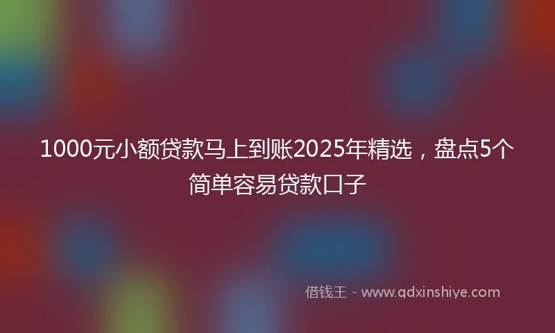 1000元小额贷款马上到账2025年精选，盘点5个简单容易贷款口子