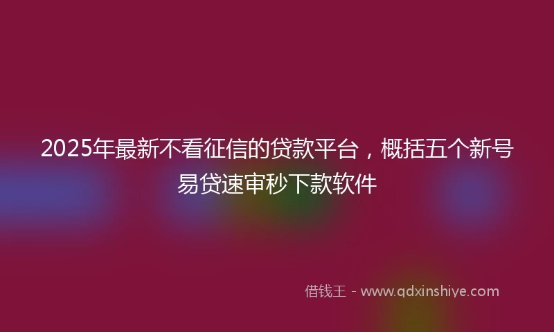 2025年最新不看征信的贷款平台，概括五个新号易贷速审秒下款软件