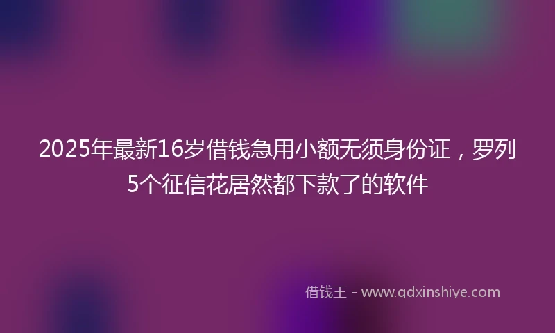 2025年最新16岁借钱急用小额无须身份证，罗列5个征信花居然都下款了的软件