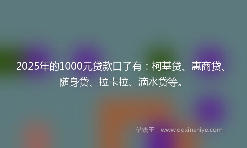 2025年的1000元贷款口子有：柯基贷、惠商贷、随身贷、拉卡拉、滴水贷等。
