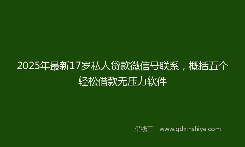 2025年最新17岁私人贷款微信号联系，概括五个轻松借款无压力软件