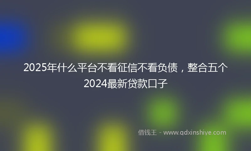 2025年什么平台不看征信不看负债，整合五个2024最新贷款口子