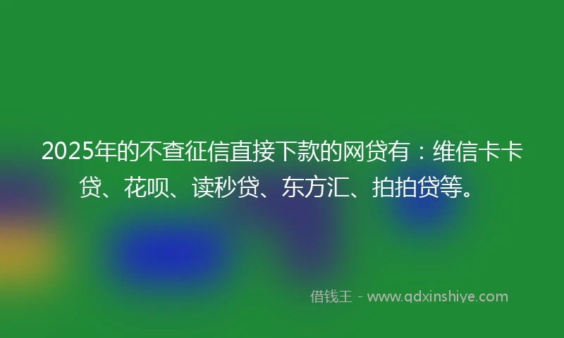 2025年的不查征信直接下款的网贷有：维信卡卡贷、花呗、读秒贷、东方汇、拍拍贷等。