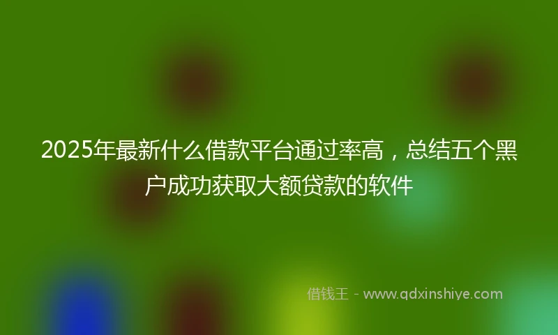 2025年最新什么借款平台通过率高，总结五个黑户成功获取大额贷款的软件