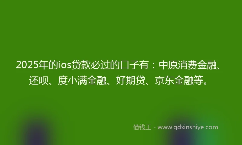 2025年的ios贷款必过的口子有：中原消费金融、还呗、度小满金融、好期贷、京东金融等。