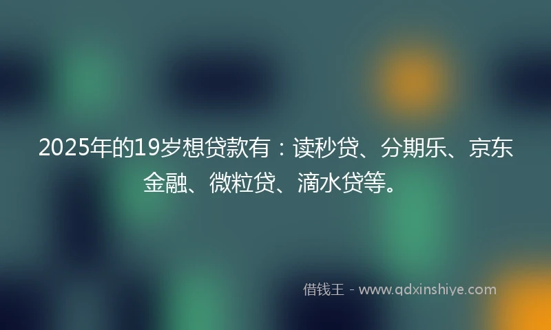2025年的19岁想贷款有：读秒贷、分期乐、京东金融、微粒贷、滴水贷等。