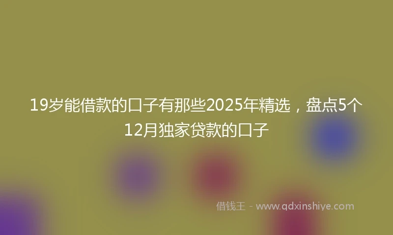 19岁能借款的口子有那些2025年精选，盘点5个12月独家贷款的口子