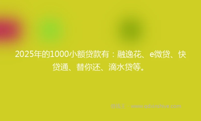 2025年的1000小额贷款有：融逸花、e微贷、快贷通、替你还、滴水贷等。