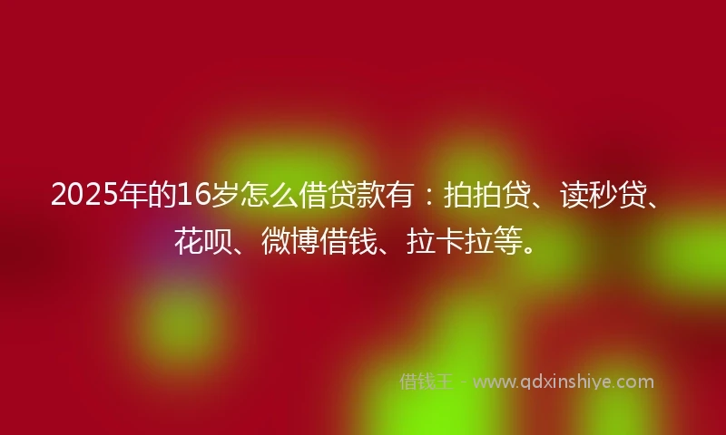 2025年的16岁怎么借贷款有：拍拍贷、读秒贷、花呗、微博借钱、拉卡拉等。