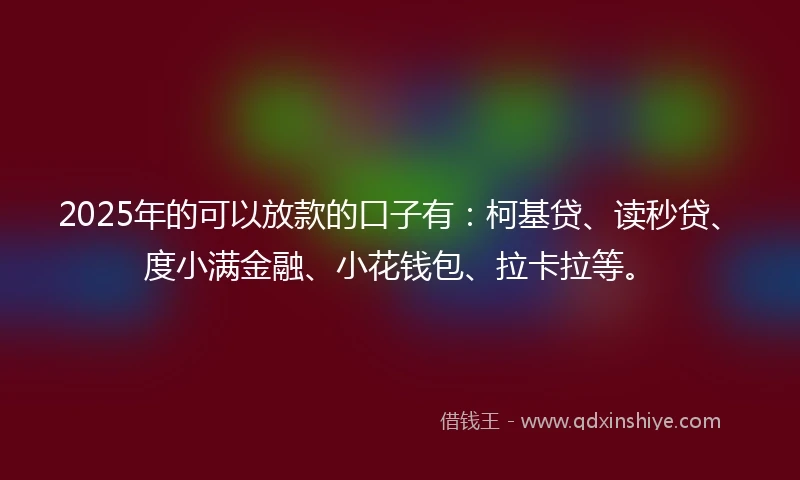 2025年的可以放款的口子有：柯基贷、读秒贷、度小满金融、小花钱包、拉卡拉等。