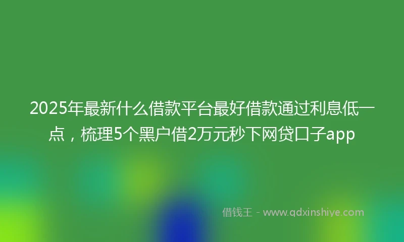 2025年最新什么借款平台最好借款通过利息低一点，梳理5个黑户借2万元秒下网贷口子app