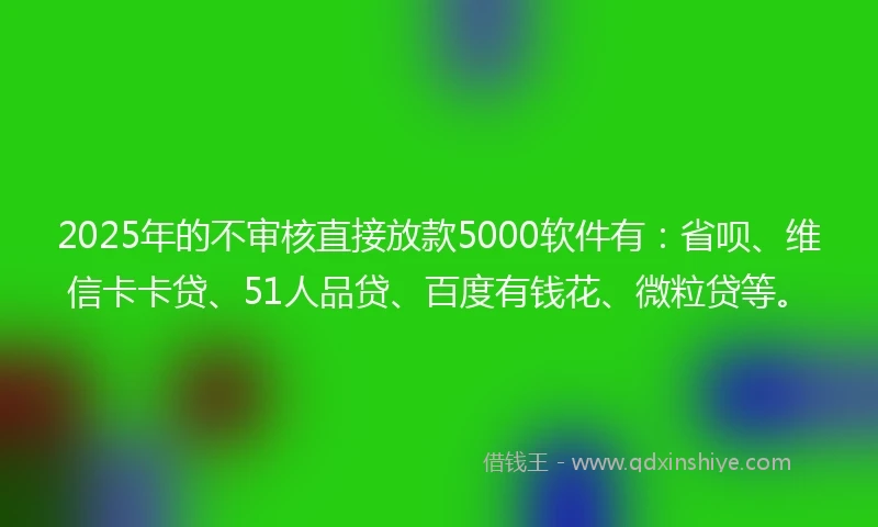 2025年的不审核直接放款5000软件有：省呗、维信卡卡贷、51人品贷、百度有钱花、微粒贷等。