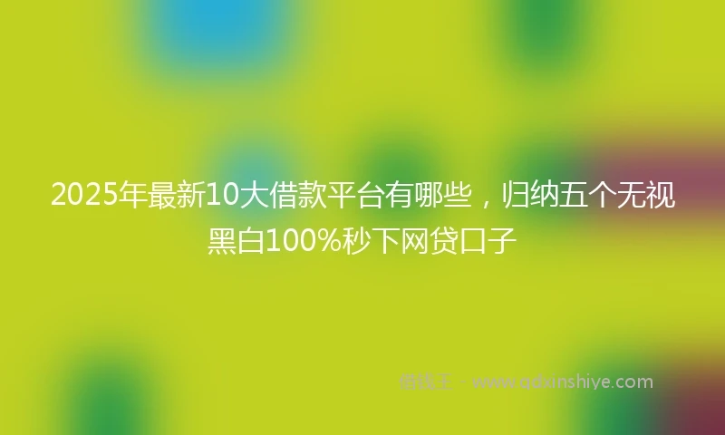 2025年最新10大借款平台有哪些，归纳五个无视黑白100%秒下网贷口子