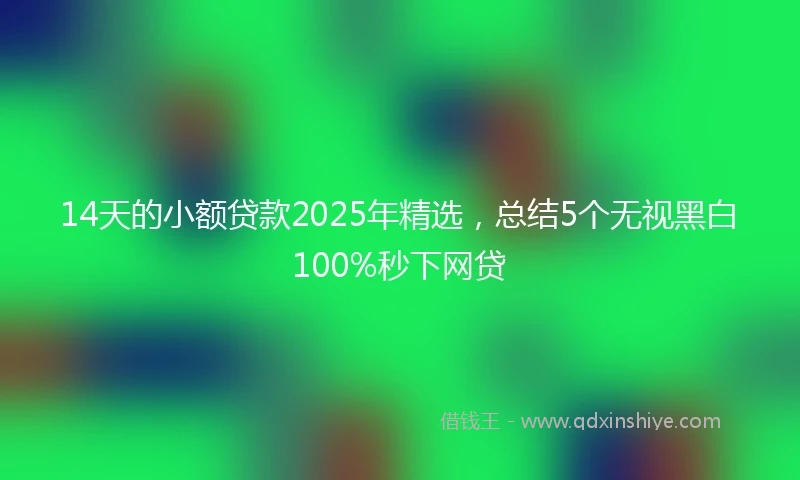 14天的小额贷款2025年精选，总结5个无视黑白100%秒下网贷