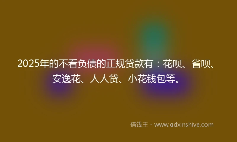 2025年的不看负债的正规贷款有：花呗、省呗、安逸花、人人贷、小花钱包等。