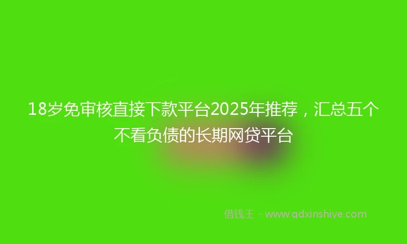 18岁免审核直接下款平台2025年推荐，汇总五个不看负债的长期网贷平台