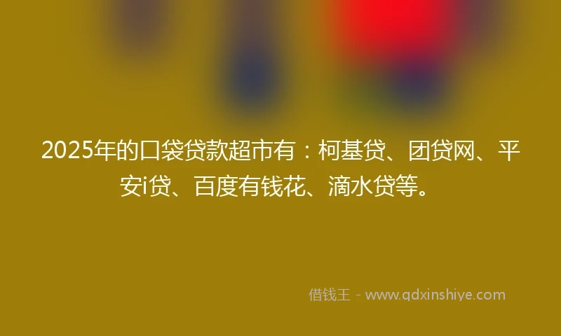 2025年的口袋贷款超市有：柯基贷、团贷网、平安i贷、百度有钱花、滴水贷等。