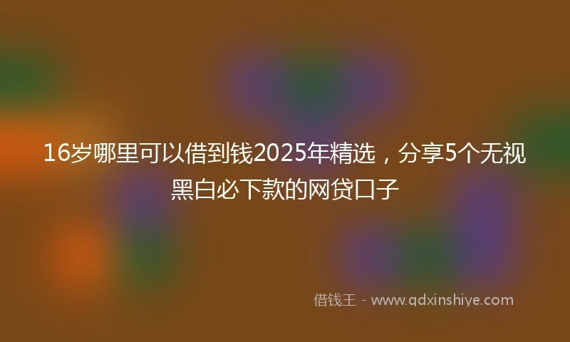 16岁哪里可以借到钱2025年精选，分享5个无视黑白必下款的网贷口子
