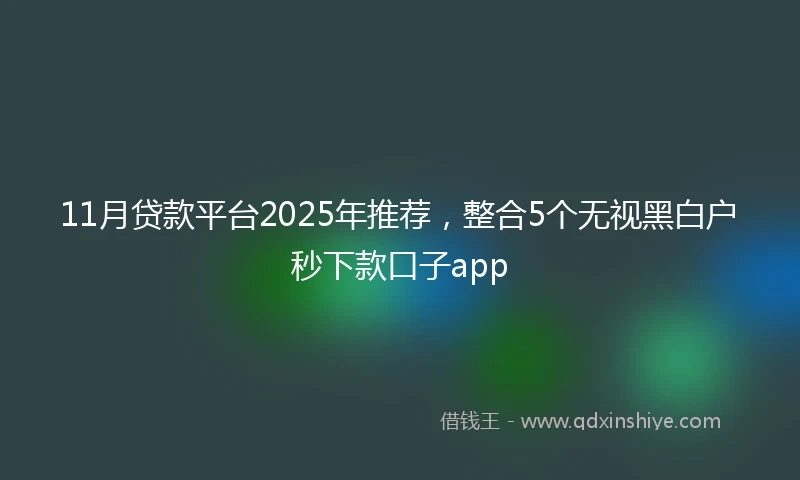 11月贷款平台2025年推荐，整合5个无视黑白户秒下款口子app