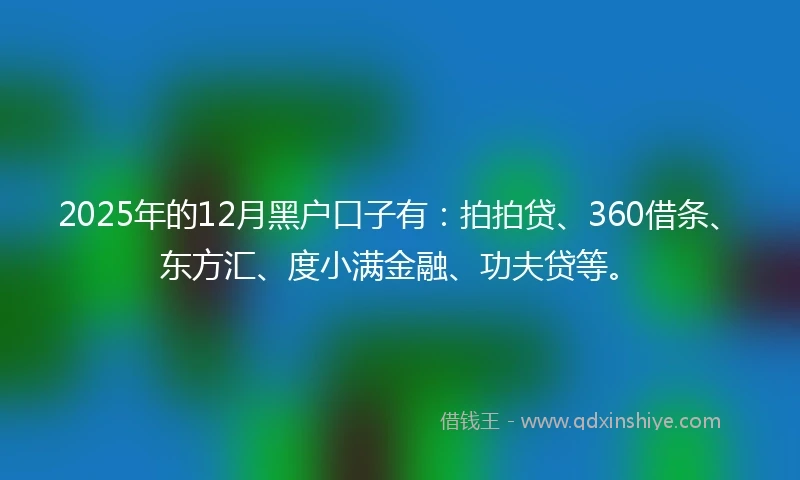 2025年的12月黑户口子有：拍拍贷、360借条、东方汇、度小满金融、功夫贷等。