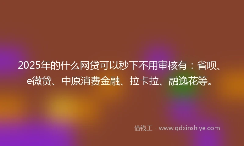 2025年的什么网贷可以秒下不用审核有：省呗、e微贷、中原消费金融、拉卡拉、融逸花等。