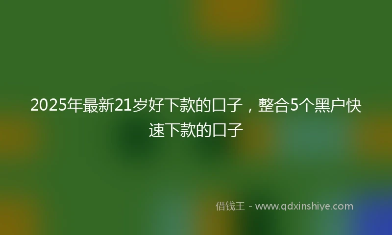 2025年最新21岁好下款的口子，整合5个黑户快速下款的口子